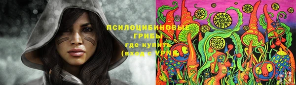 индика Балашиха