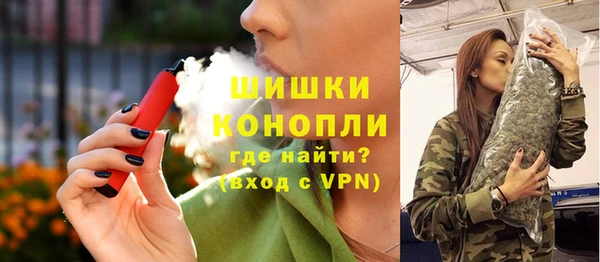 индика Балашиха