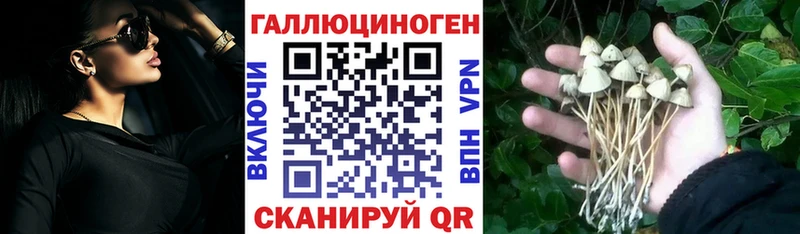 Псилоцибиновые грибы Psilocybine cubensis  blacksprut сайт  Балахна 